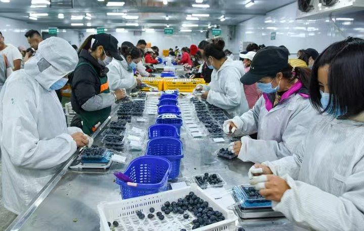 |利来老牌国际官方入口解码“中国新特产”丨新华深读