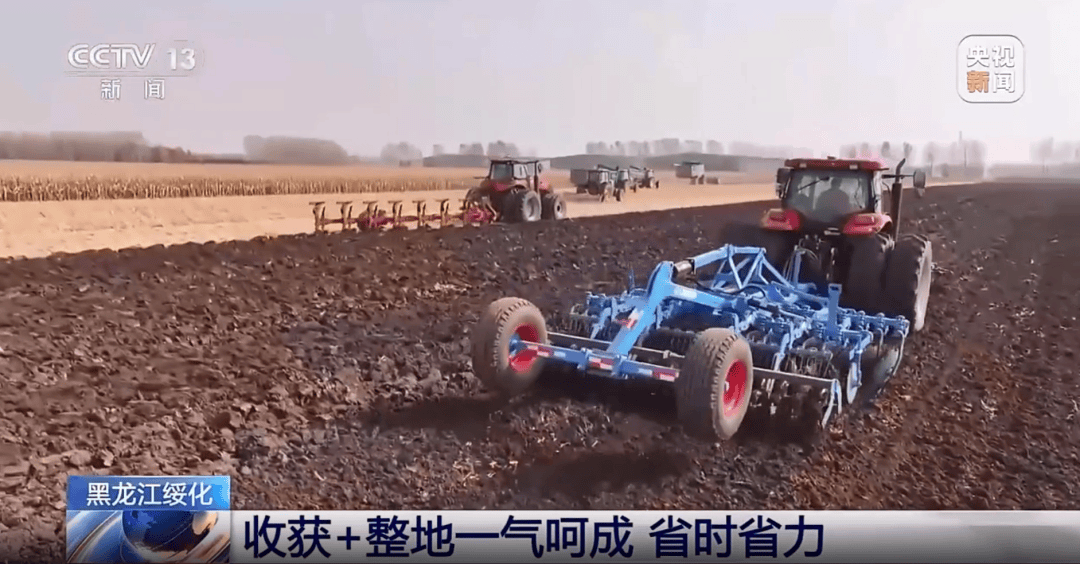 央视《新闻直播间》：绥化市北林区百万亩玉米迎来收获 多快好省促增收