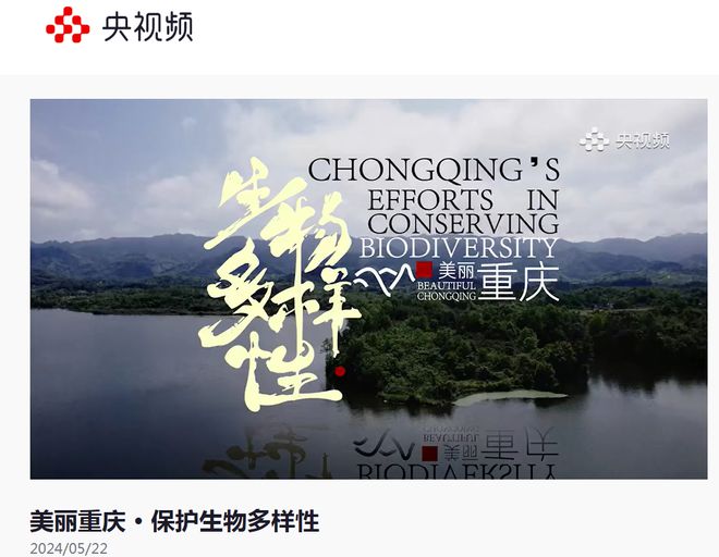 |利来老牌游戏平台传播 公布！2024年度美丽重庆全媒体优秀传播案例